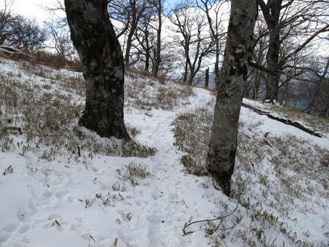 20160218hike (331)